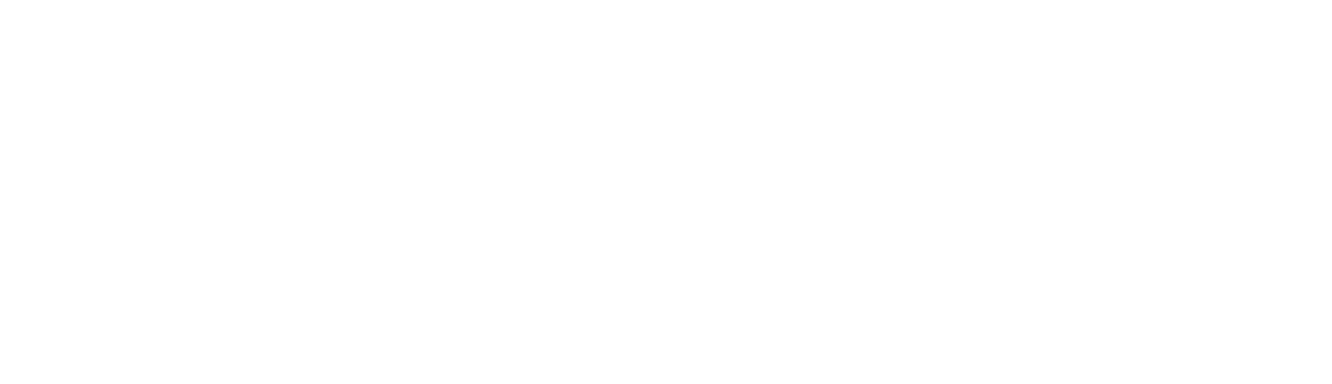 Basic Fit Logo