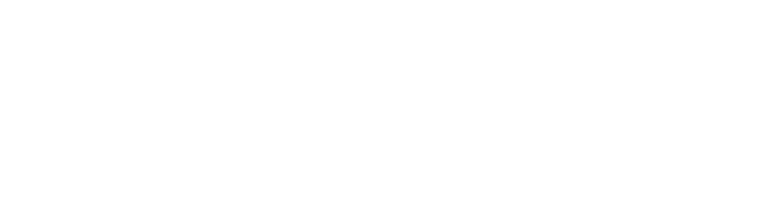 Schiphol Logo